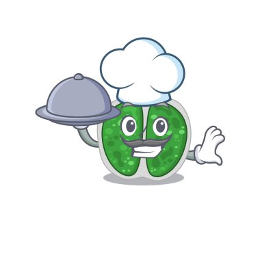 Chroococcales bakteri şefi çizgi film karakteri tepside yemek servisi yapıyor.