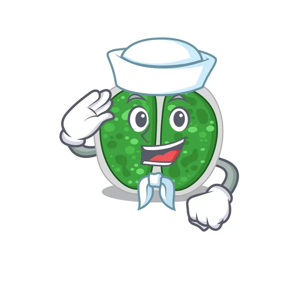 Zeiler cartoon karakter van chroococcales bacteriën met witte hoed — Stockvector