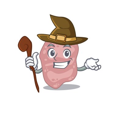 Verrucomicrobia sinsi ve hileli cadı çizgi film karakteri