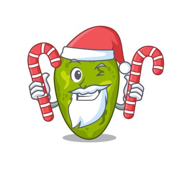 Santa Cartoon karakterindeki dostane siyanobakteri Noel şekeri barındırıyor