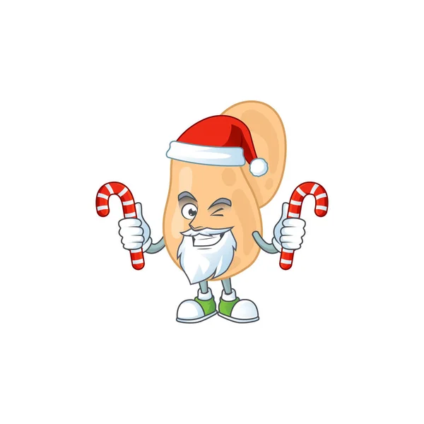 Sarcina Humble Santa Cartoon Character Having Candies Vector Illustration — Stock Vector