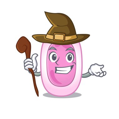 Bordetela pertussis sinsi ve kurnaz cadı çizgi film karakteri