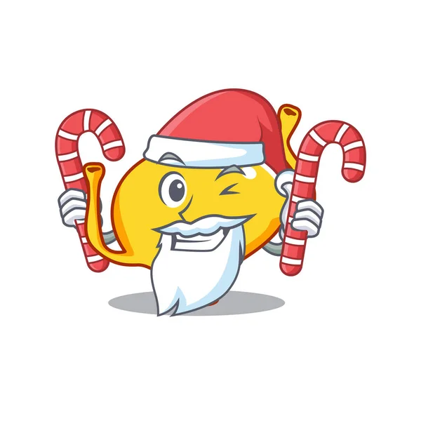 Vessie amicale dans Santa personnage de bande dessinée détient bonbons de Noël — Image vectorielle