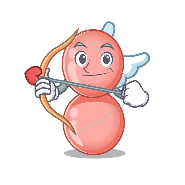 Neisseria gonorrhoeae in Amor Cartoon-Figur mit Pfeil und Flügeln — Stockvektor