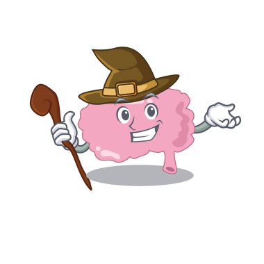 Beyin komik ama sinsi cadı çizgi film karakteri tasarımı