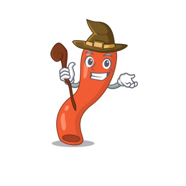 Apandisit komik ama sinsi cadı çizgi film karakteri tasarımı