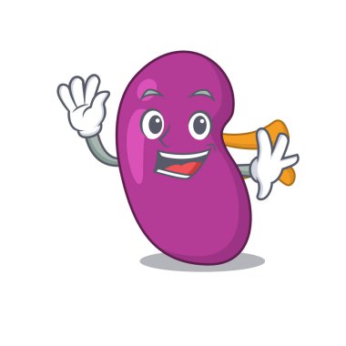 Çekici bir böbrek maskotu tasarımı gülümseme ve el sallama