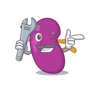 Tamirci olarak çalışan böbreğin karikatür resmi.