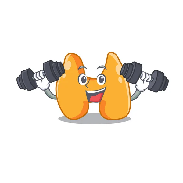 Thyroid mascot design feels happy lift up barbells during exercise — Stock Vector