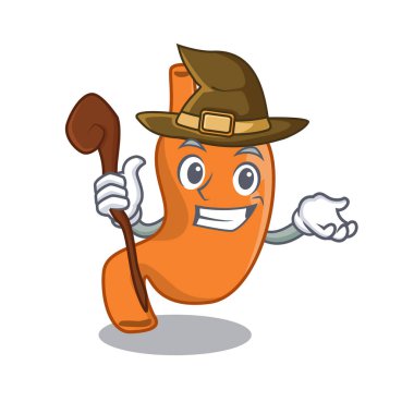 Mide komik ama sinsi cadı çizgi film karakteri tasarımı