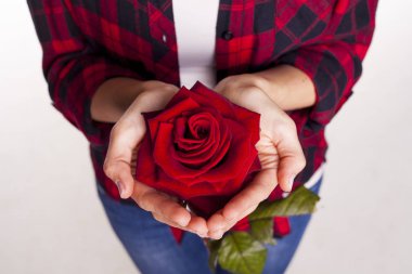 kadın el holding kırmızı çiçek