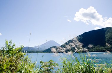 Mt. Fuji sonbaharda yan tarafındaki Motosu Gölü, Japonya Japon Pampa otu ile