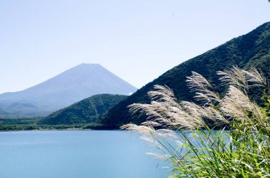 Mt. Fuji sonbaharda yan tarafındaki Motosu Gölü, Japonya Japon Pampa otu ile