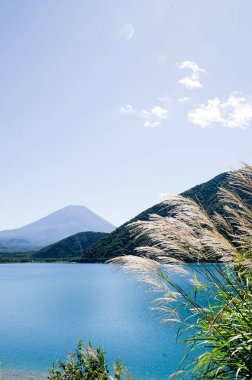 Mt. Fuji sonbaharda yan tarafındaki Motosu Gölü, Japonya Japon Pampa otu ile