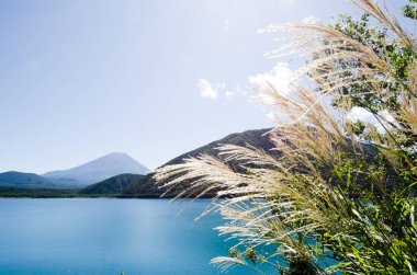 Mt. Fuji sonbaharda yan tarafındaki Motosu Gölü, Japonya Japon Pampa otu ile