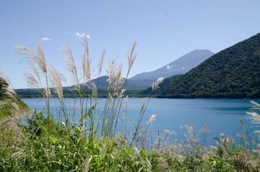 Mt. Fuji sonbaharda yan tarafındaki Motosu Gölü, Japonya Japon Pampa otu ile