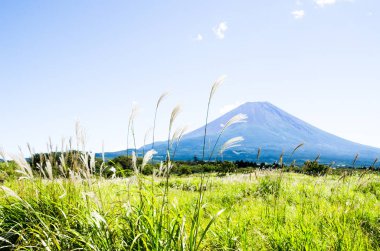 Mt. Fuji Güz Asagirikogen Highland, Japonya, Japon Pampa otu ile
