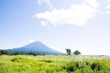 Mt. Fuji Güz Asagirikogen Highland, Japonya, Japon Pampa otu ile