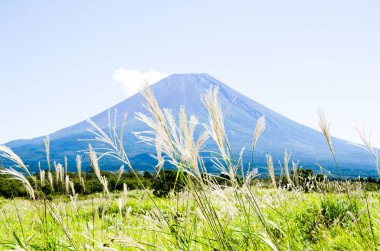 Mt. Fuji Güz Asagirikogen Highland, Japonya, Japon Pampa otu ile