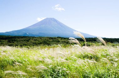 Mt. Fuji Güz Asagirikogen Highland, Japonya, Japon Pampa otu ile