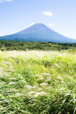 Mt. Fuji Güz Asagirikogen Highland, Japonya, Japon Pampa otu ile