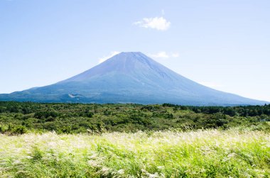 Mt. Fuji Güz Asagirikogen Highland, Japonya, Japon Pampa otu ile
