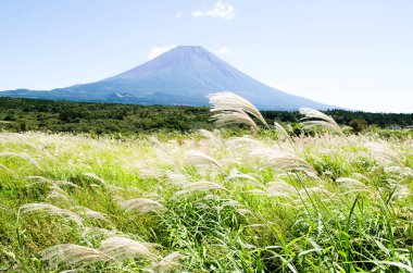 Mt. Fuji Güz Asagirikogen Highland, Japonya, Japon Pampa otu ile