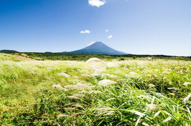Mt. Fuji Güz Asagirikogen Highland, Japonya, Japon Pampa otu ile