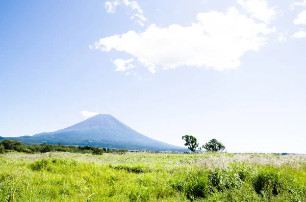 Mt. Fuji Güz Asagirikogen Highland, Japonya, Japon Pampa otu ile