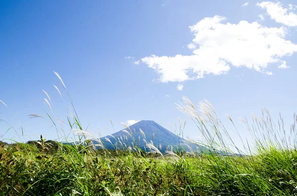 Mt. Fuji Güz Asagirikogen Highland, Japonya, Japon Pampa otu ile