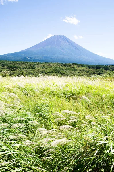 Mt. Fuji Güz Asagirikogen Highland, Japonya, Japon Pampa otu ile