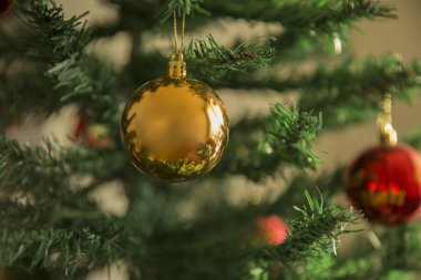 Noel ağacı arka planı