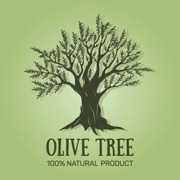 手描き下ろしグラフィック オリーブの木。ベクトルの図。オリーブの木のロゴの設計広告オリーブ、オリーブ オイル、プレミアム品質の天然オリーブ製品の使用. — ストックベクタ