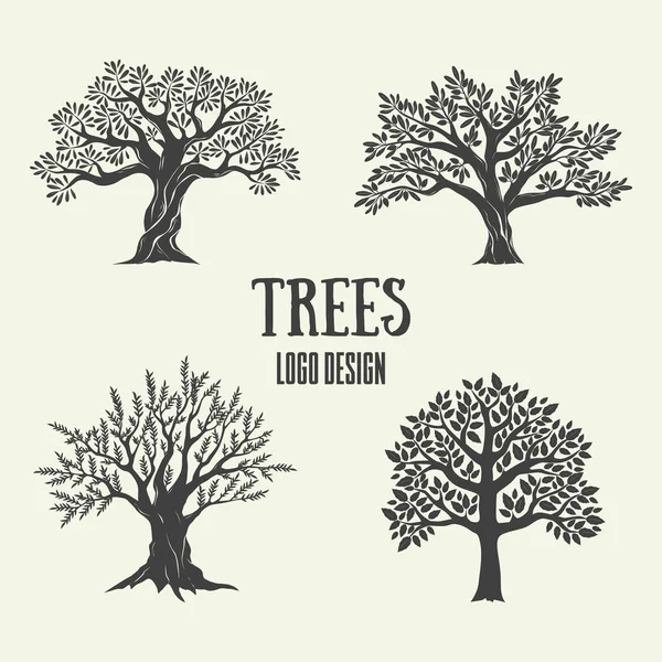 Yaratıcı zeytin, argan ve kahve ağaçları siluet. Vektör çizim. Logo tasarım ürünler üstün kaliteli reklam için kullanılan ağaç.