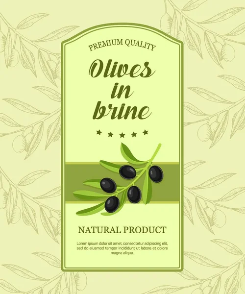 Étiquette rétro pour olives en saumure avec branche d'olives noires. Illustration vectorielle. Étiquette conçue pour la publicité des olives noires en saumure de qualité supérieure . — Image vectorielle