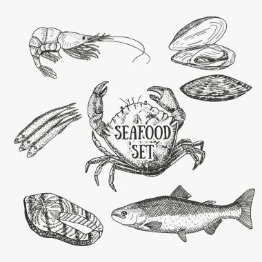 Creative seafood set. Vector illustration. Sketch include prawn, crab, oyster, salmon, salmon steak and sprat. Graphic objects used for advertising seafood, fish market or restaurant menu. clipart