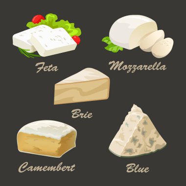 Beyaz peynir çeşitleri kümesi. Gerçekçi vektör çizim mavi, brie, peyniri, beyaz peynir ve mozzarella peyniri. Peynir ya da Restoran Menü reklam logo tasarımı için kullanılan koleksiyon lor.