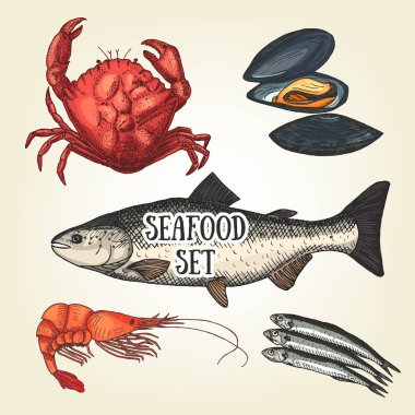 Yaratıcı deniz ürünleri grafik kroki. Vektör karides, Yengeç, istiridye, somon ve çaça. Ürünlerin, reklam için kullanılan gerçekçi deniz ürünleri Restoran Menü veya afiş ve poster oluşturma.