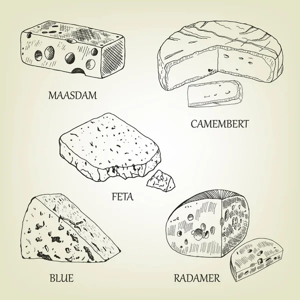 Coleção de queijo gráfico realista. Ilustração vetorial incluem maasdam, camembert, feta, azul e radamer. Desenho de coalhada usado para publicidade de produtos lácteos, menu de restaurante ou design de logotipo . —  Vetores de Stock