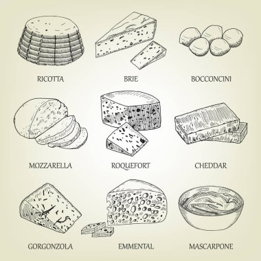 Farklı grafik peynir çeşitleri kümesi. Süt ürünleri ile gerçekçi vektör kroki. Kullanılan logo tasarımı, tarif kitabı, reklam peynir ya da Restoran Menü için curds koleksiyonu.