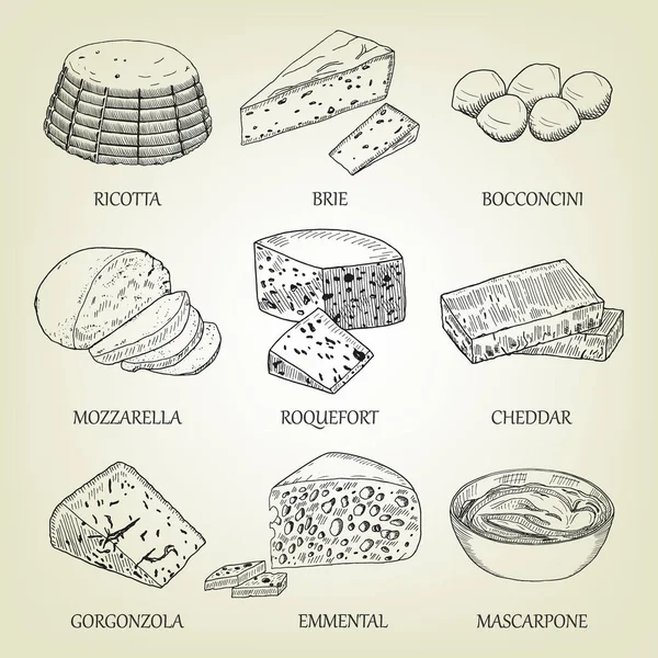 Farklı grafik peynir çeşitleri kümesi. Süt ürünleri ile gerçekçi vektör kroki. Kullanılan logo tasarımı, tarif kitabı, reklam peynir ya da Restoran Menü için curds koleksiyonu.