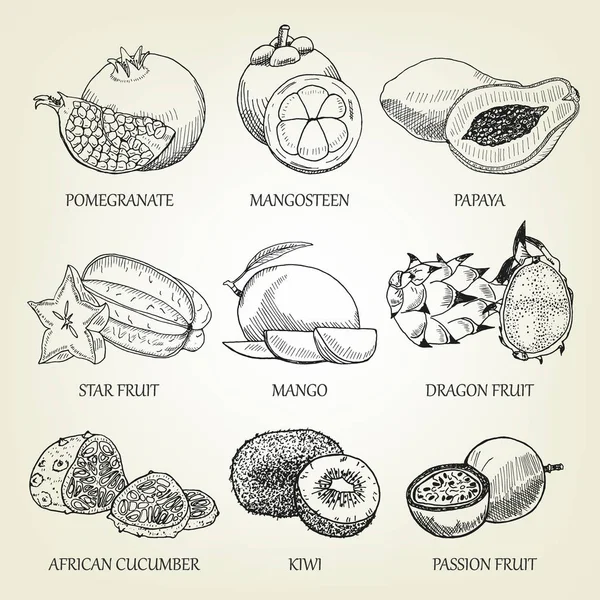 Kézzel rajzolt készlet-ból különböző trópusi gyümölcsök. Szerkezeti reális ikonok, egészséges étel. Vektor egzotikus növényekkel vázlatos jó logo tervezés, plakát, transzparens létrehozása, recept könyvet, vagy étterem menü. — Stock Vector