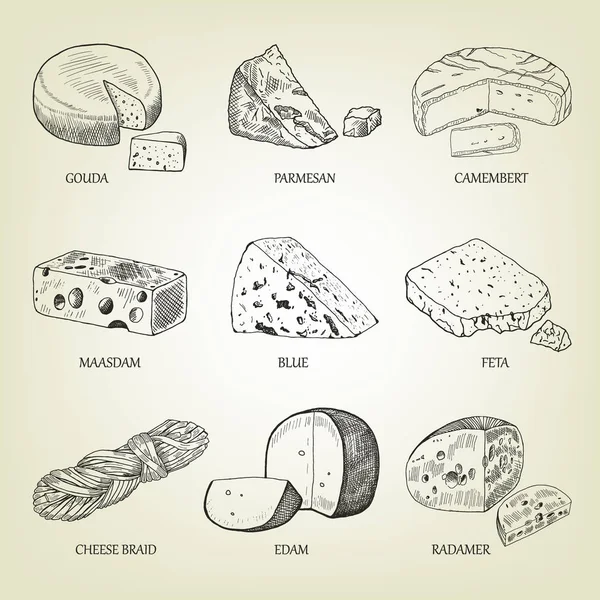 Σύνολο των διαφόρων ειδών των γραφικών τυρί. Ρεαλιστική διάνυσμα σκίτσο με τα γαλακτοκομικά προϊόντα. Τυρόπηγμα συλλογή χρησιμοποιείται για Σχεδιασμός λογοτύπου, βιβλίο συνταγών, διαφήμιση τυριού ή εστιατόριο μενού. — Διανυσματικό Αρχείο