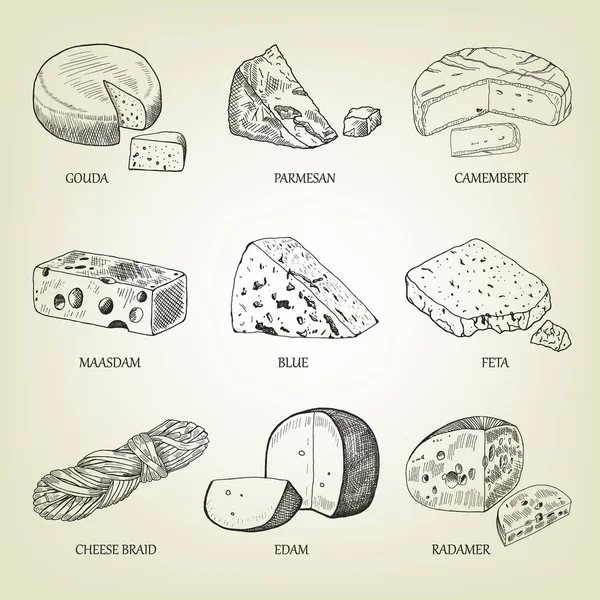 Conjunto de diferentes tipos de queso gráfico. Boceto vectorial realista con productos lácteos. Colección de cuajada utilizada para el diseño del logotipo, libro de recetas, queso publicitario o menú de restaurante . — Archivo Imágenes Vectoriales