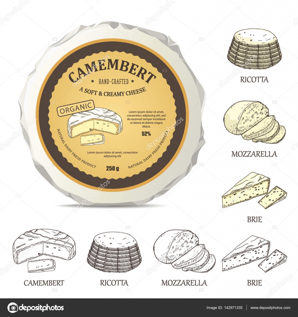 Download Round Cheese Mockup With Camembert Label Vector Illustration With Vintage Sticker Hand Drawn Template Used For Advertising Cheese And Graphic Icons Good For Logo Design Or Emblem Creation Vector Image By C
