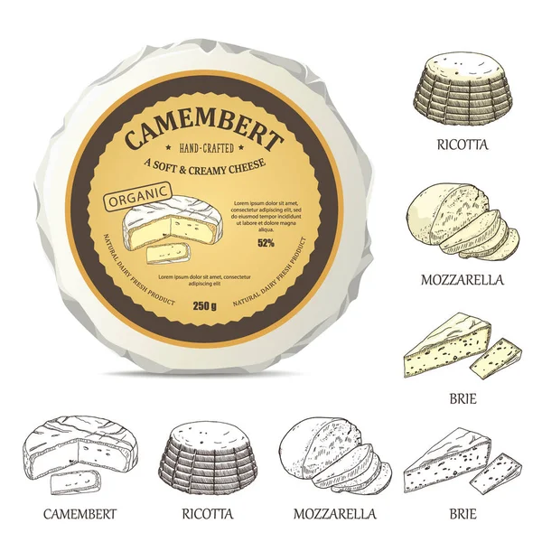 Mockup de queijo redondo com etiqueta camembert. Ilustração vetorial com adesivo vintage. Modelo desenhado à mão usado para publicidade de queijo e ícones gráficos bons para design de logotipo ou criação de emblemas . —  Vetores de Stock