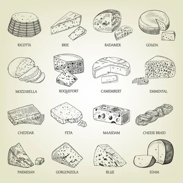 Dibujo de diferentes iconos de quesos. Ilustración vectorial con un esquema realista de los productos lácteos. Colección de cuajada utilizada para el diseño del logotipo, libro de recetas, queso publicitario o menú de restaurante . — Vector de stock