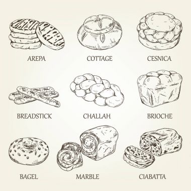 Ekmek yapım ürünleri el-çizim koleksiyonu. Vektör çizim ile gerçekçi ekmek kutsal kişilerin resmi. Reklam Pastane, Restoran Menü, logo veya tarifi kitap tasarımı için tasarlanmış pasta grafik türü.