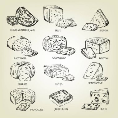Grafik taslak farklı peynir simgeler. Vektör kümesi gerçekçi anahat süt ürünleri. Kullanılan logo tasarımı, tarif kitabı, reklam peynir ya da Restoran Menü için izole curds koleksiyonu.