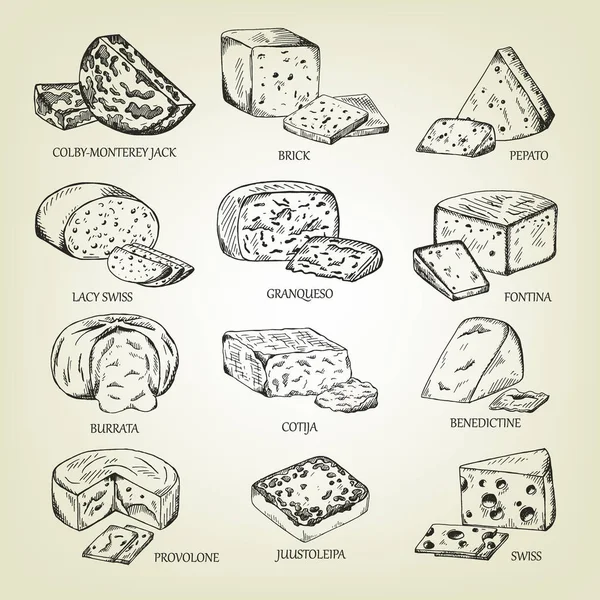 Esbozo gráfico de diferentes iconos de quesos. Conjunto vectorial de productos lácteos realistas. Colección de cuajada aislada utilizada para el diseño del logotipo, libro de recetas, queso publicitario o menú de restaurante . — Archivo Imágenes Vectoriales